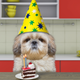 Illustration for article titled Last Call: Let’s talk about our favorite birthday mealsem/em